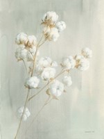 Summer Harvest I Fine Art Print