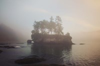 First Light Fine Art Print