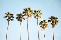 Endless Summer V Fine Art Print