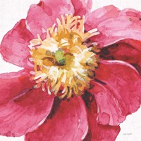 Pink Garden VI Fine Art Print