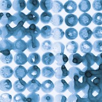 Kanari Square II Indigo Framed Print