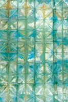 Kanari V Framed Print