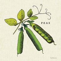 Linen Vegetable IV v2 Fine Art Print