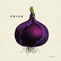 Linen Vegetable III v2 Framed Print