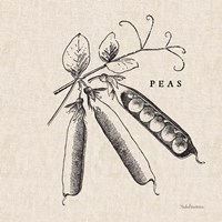 Burlap Vegetable BW Sketch Peas Fine Art Print