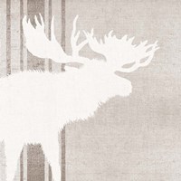 Woodland Animal III Fine Art Print