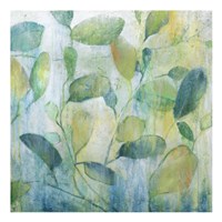 Morning Fine Art Print