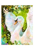 Swan Fine Art Print