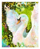 Swan Fine Art Print
