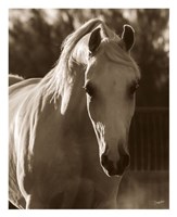 Jewel Fine Art Print