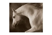 Tag Impression Fine Art Print