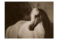 For Love Alone Fine Art Print