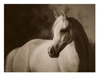 For Love Alone Fine Art Print