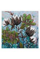 Chantilly Blue Fine Art Print