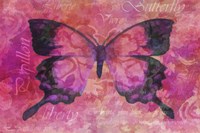 Pink Butterfly Fine Art Print