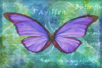 Purple Buterfly Fine Art Print