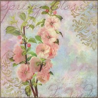 Blossom Fine Art Print