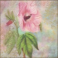 Hollyhock Fine Art Print