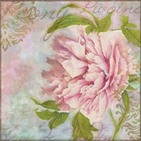 Peony Fine Art Print