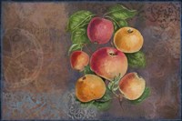 Apples - Fruit Series Fine Art Print