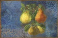 Pears - Fruit Series Fine Art Print