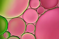 Pink Drops Fine Art Print