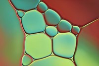 Red And Mint Pebbles Fine Art Print