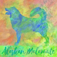 Alaskan Malamute Fine Art Print