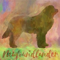Newfoundlander Dog Fine Art Print