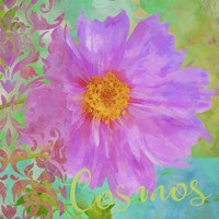 Colors Of Flowers I - Cosmos Fine Art Print