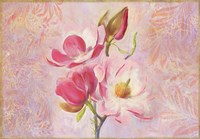 Magnolia Ii Fine Art Print