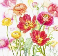 Spring Flowers Fine Art Print