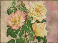 Yellow Roses Fine Art Print