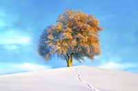 Last Show Fine Art Print