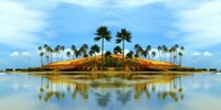 Palm Retreat Fine Art Print