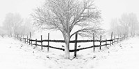 Snowy Landscape Fine Art Print