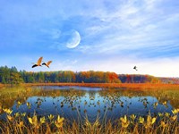 Flying Fine Art Print