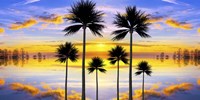 Sunset Palms Fine Art Print