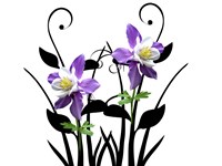 Purple Delight Fine Art Print