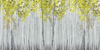 White Forest Fine Art Print