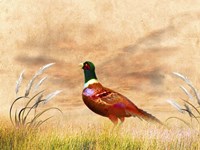 The Red Bird Fine Art Print