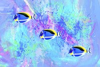 Fish Trio Fine Art Print
