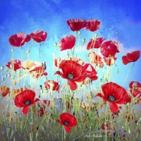 Poppy Flowers Field Fine Art Print