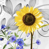 Sunflower Fine Art Print