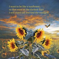 I Want to be a Sunflower Fine Art Print