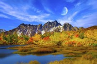 Beauty Of Nature Fine Art Print