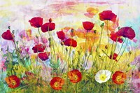 Poppies Fine Art Print