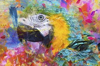 Colorful Mix Fine Art Print