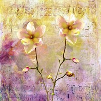 Flowers & Music Fine Art Print