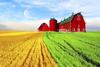 Red Barn Fine Art Print
